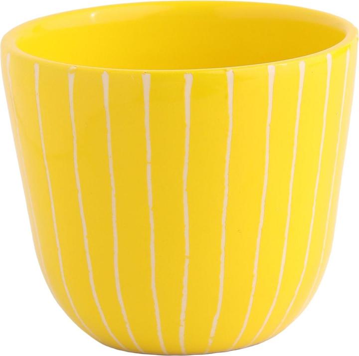 Yellow striped