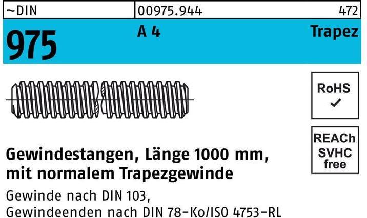 Immagine prodotto Asta filettata DIN 975 con filettatura trapezoidale TR 24 x 5 x 1000mm A 4