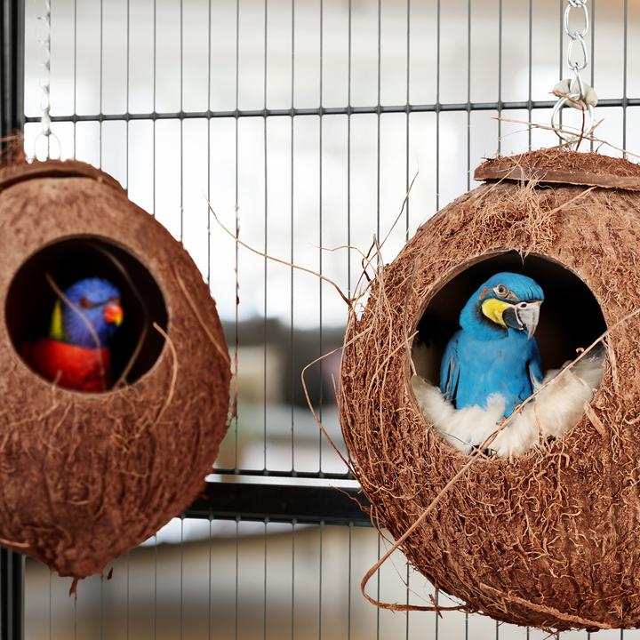 Produktbild Relaxdays 2x Vogelhaus