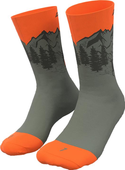 Immagine prodotto Dynafit Calzini Stay Fast Unisex (35 - 38)