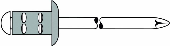 Gesipa Blindniete Alu/Stahl 4x10 mm PolyGrip Mini-Pack mit 100 Stück