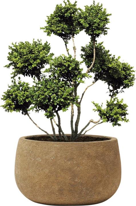 Produktbild Kirschke Rockline (35 cm)