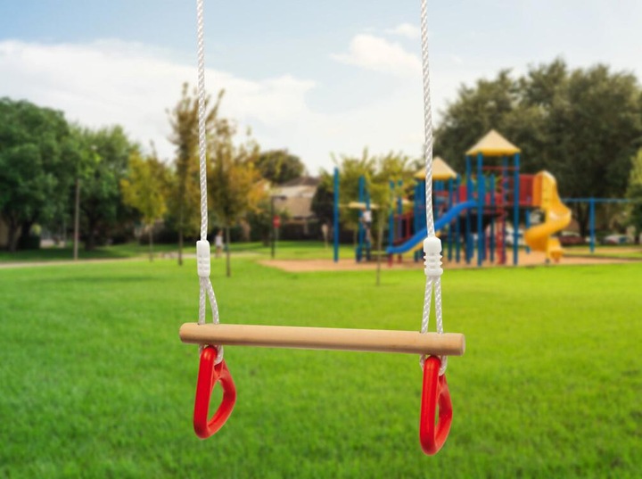 Actual product image small foot Swing with gym rings