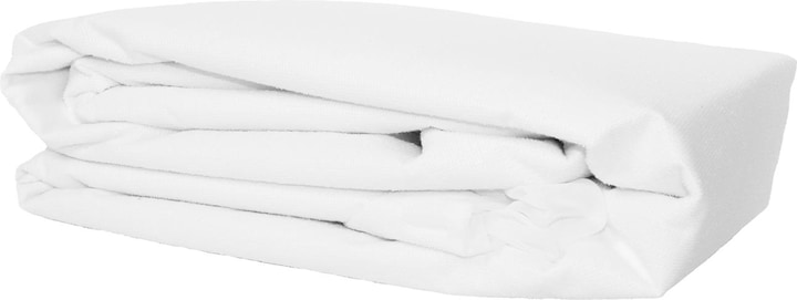 Casativo Anti-acaro (160 x 200 cm)
