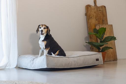Produktbild Designed by Lotte Ribbed (Hund)