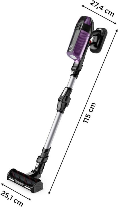 Produktbild Rowenta XForce Flex 12.60