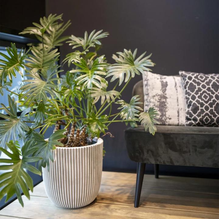 Produktbild Capi Arielle (43 x 41 cm)