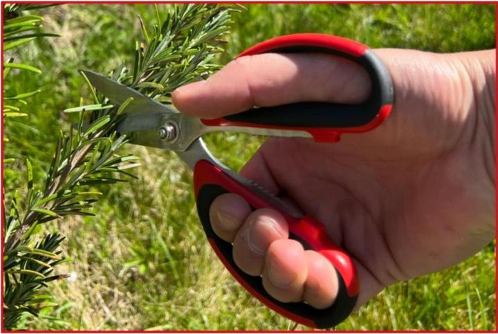 Actual product image KS Tools Universal workshop shears (19 cm)