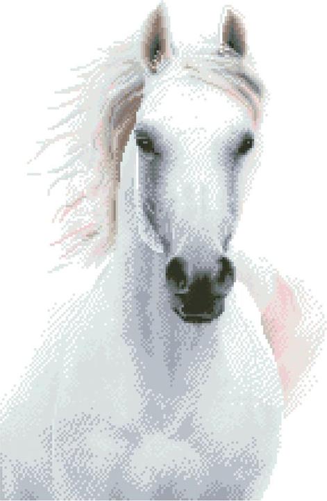 Produktbild Diamond Dotz Diamond Painting Pferd weiss