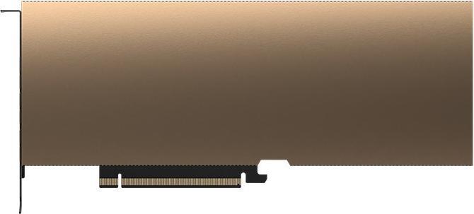 Image du produit PNY Modules NVIDIAPASSIVE COOLED (48 Go)