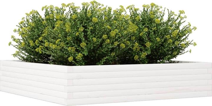 Actual product image vidaXL Pflanzgefäss