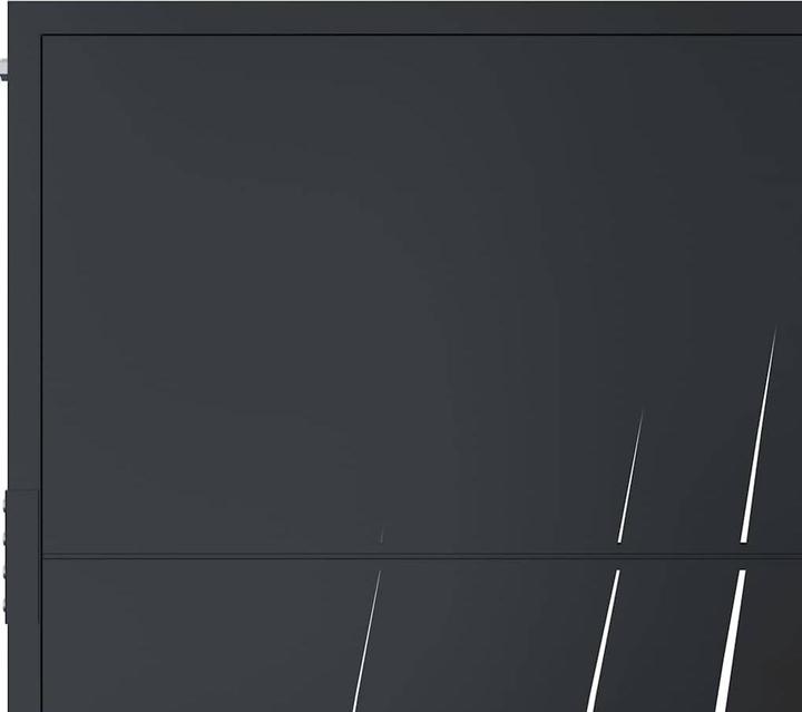 Image du produit vidaXL Gartentor