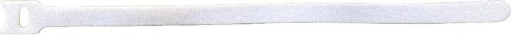 ProXtend Hook and Loop 20cm x 12mm (200 mm, 10 Stk.)
