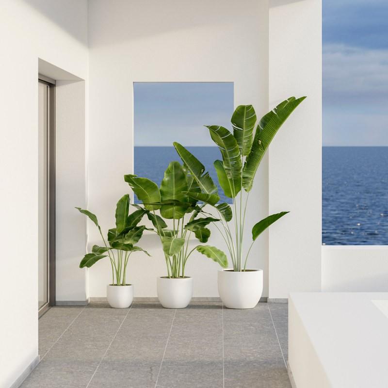 Thumbnail - Newgarden, Blumentopf, AZALEA 40 Pflanzengefäss rund ø40x33cm anthrazit 20L mit Wasserspeicher outdoor (40 cm)