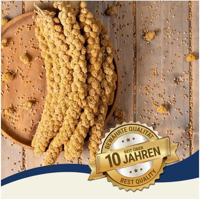 Produktbild Lyra Pet Kolbenhirse (1 x, 1 kg)