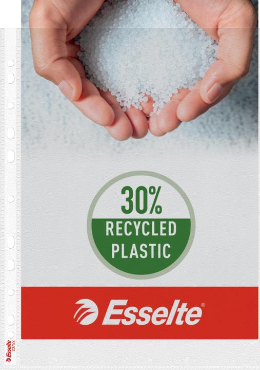 Produktbild Dymo Esselte Prospekthülle Standard, DIN A4, PP, genarbt, 0,07 mm oben offen, dokumentenecht, Eurolochung (A4, 1 x)