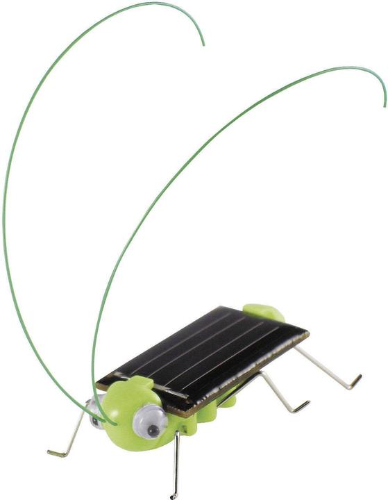 Immagine prodotto Sol Expert Grillo Solare