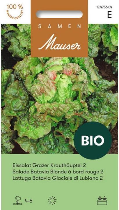 Produktbild Samen Mauser Bio Eissalat Grazer Krauthäuptel 2 (Gemüsesamen)