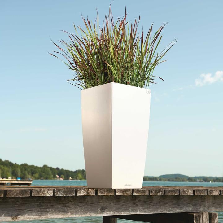 Actual product image Lechuza Cubico Color (39.50 cm)