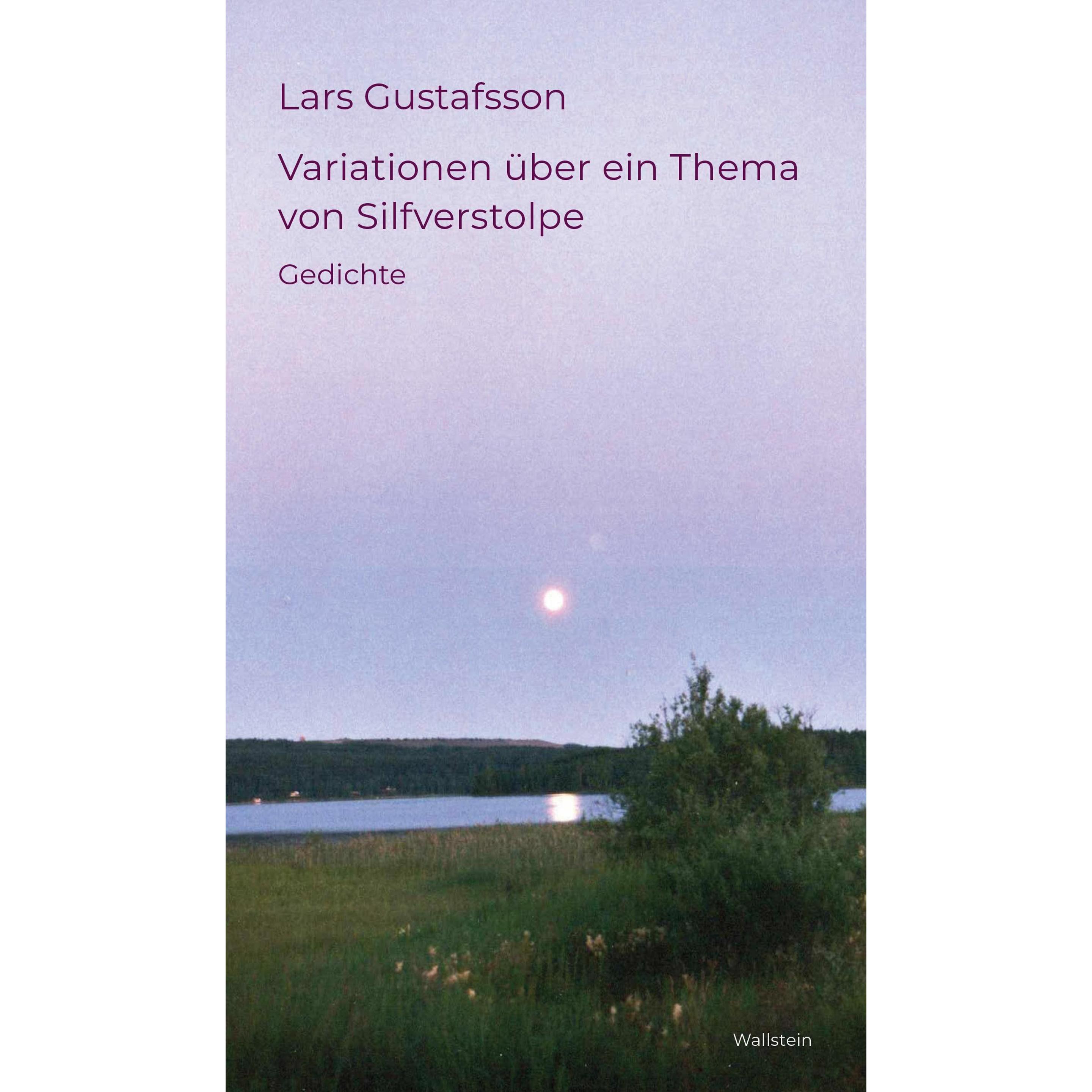 Variationen über ein Thema von Silfverstolpe, Belletristik von Lars Gustafsson