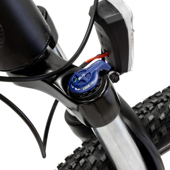 Produktbild Argento E-Bike