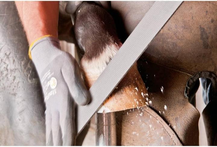 Produktbild Pferd Hufhobel Flachstumpf 350 mm Planhobeln & bearbeitung der Hufe (350 mm)