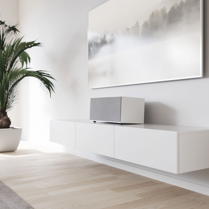 Actual product image Audio Pro C20 Multi-Room Speaker (Bluetooth, Airplay 2, Chromecast, Wi-Fi)