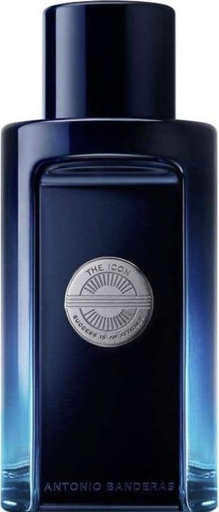 Antonio Banderas L'icona