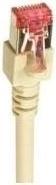 Actual product image EFB Elektronik Network cable (UTP, CAT6, 2 m)
