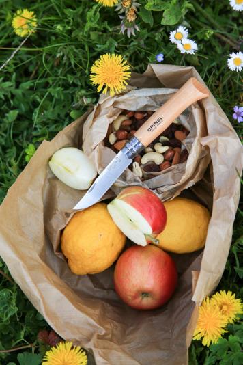 Actual product image Opinel No 07 Pocket knife (7.50 cm)