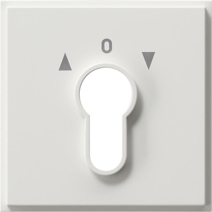 Actual product image Gira Cover for key switch/button 066466