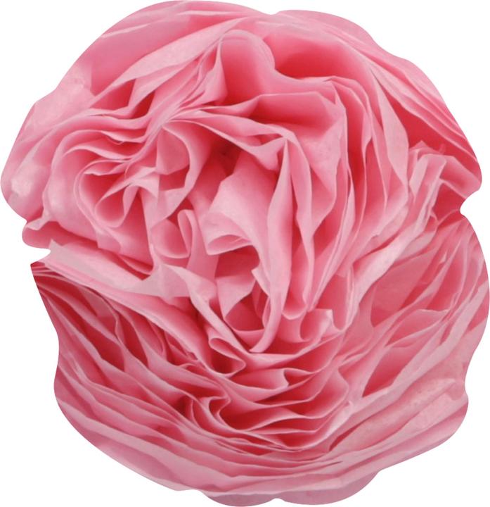 Actual product image Clairefontaine Tissue paper (18 g/m², 1 x)