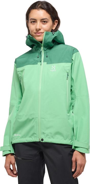 Actual product image Haglöfs Roc Flash GTX (L)