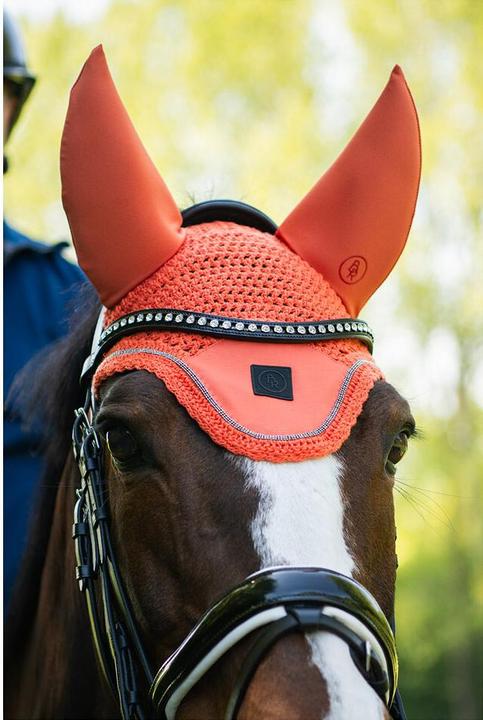 Actual product image BR Equestrian Equipment Kyra