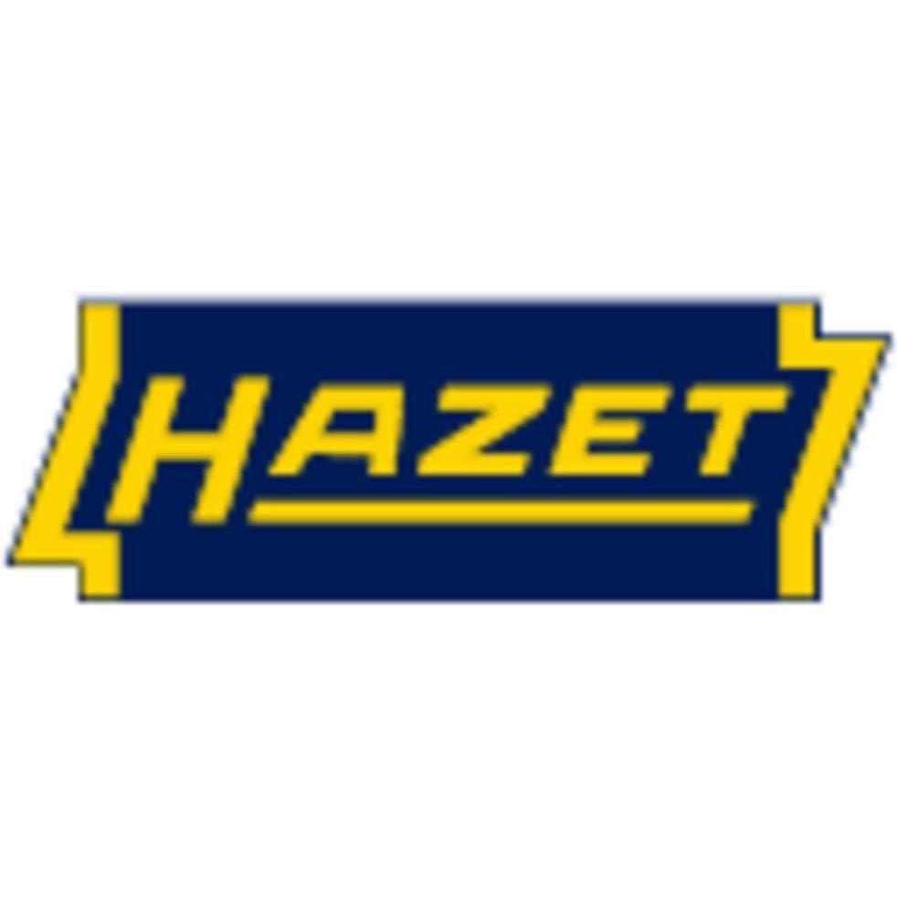 HAZET, Steckschlüssel + Stecknuss, AußenSechskant Steckschlüsseleinsatz (17 mm)