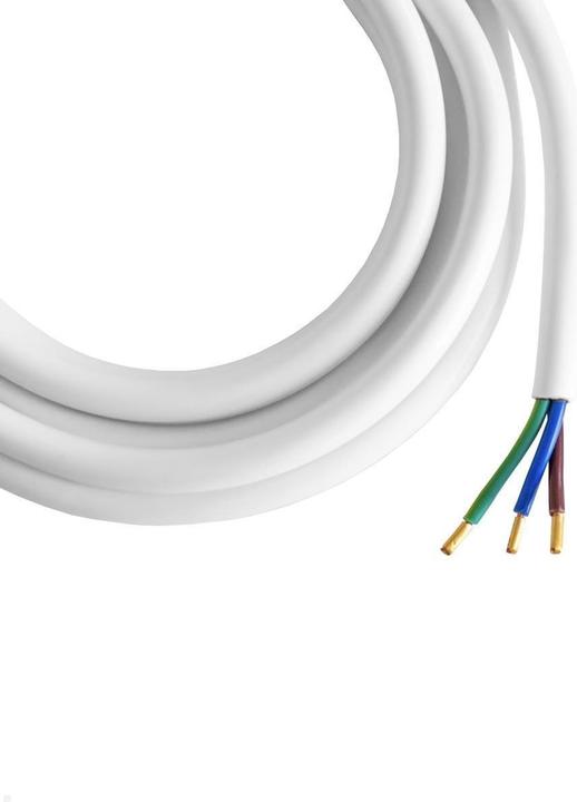 Image du produit Bachmann Steckdose