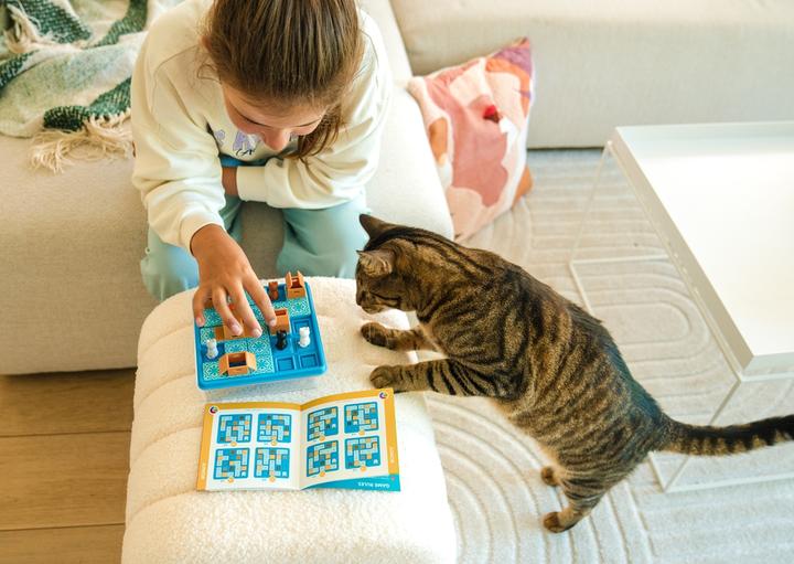 Image du produit Smart Games Cats Boxes (Allemand, Français, Italien, Anglais)