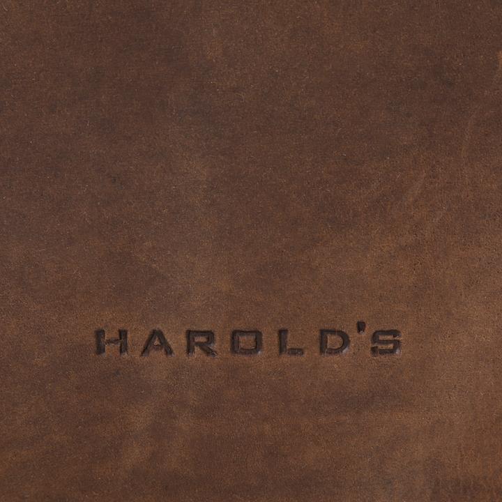 Immagine prodotto Harolds Aktentasche ANTIC