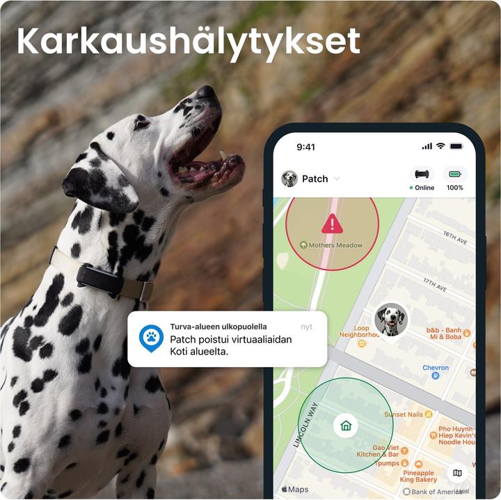 Immagine prodotto Tractive GPS Tracker Dog 6 (Cane, Passeggiare)