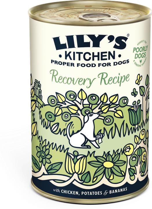 Produktbild Lily's Kitchen Recovery Recipe (Adult, 1 Stk., 400 g)