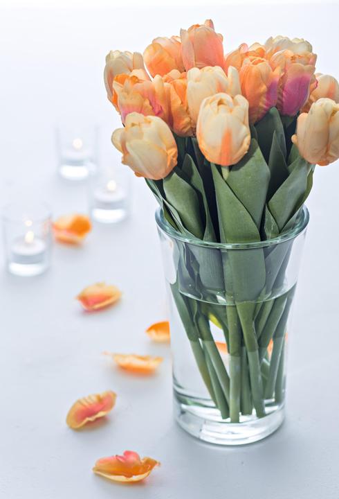 Produktbild Leonardo Bloom (1 x, 22.5 x 14.5 x 14.5 cm, 5.23 l)