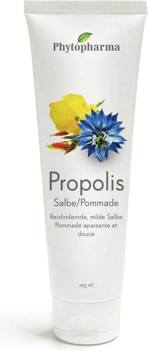 Actual product image Phytopharma Propolis comp. ointment 12 (Body cream, 125 ml)