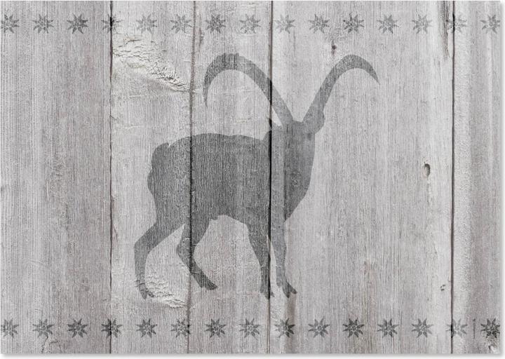 Image du produit Trendform Capricorne (42 x 29.70 cm)