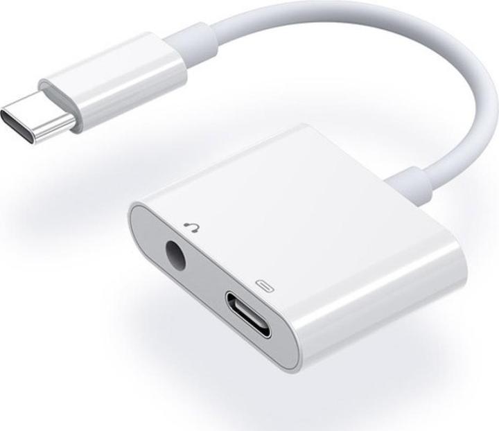 PowerGuard USB C 3.5 mm Klinke AUX Adapter (USB Typ C, 3.5mm Klinke)