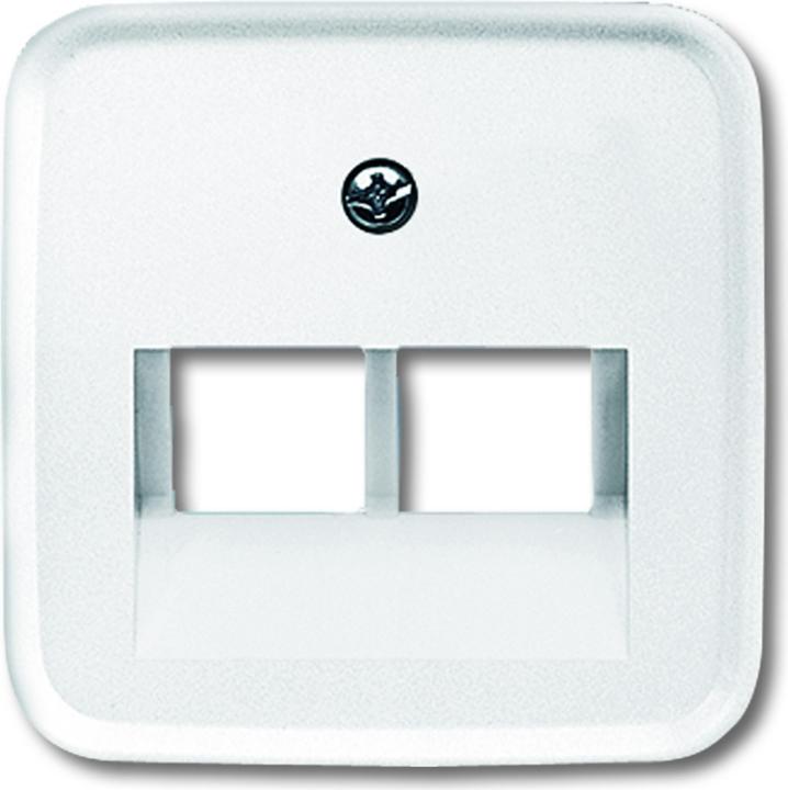 Actual product image Busch-Jaeger Central disk