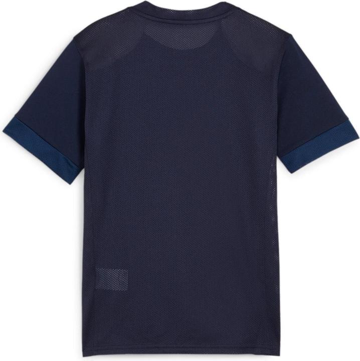 Actual product image Puma teamGOAL Matchday Jersey jr (M)