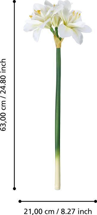 Immagine prodotto EGLO LIVING Molave (63 cm)