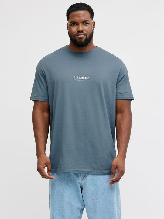 Produktbild Jack & Jones Jjesoho Tee Ss Crew Neck Noos Pls (3XL)
