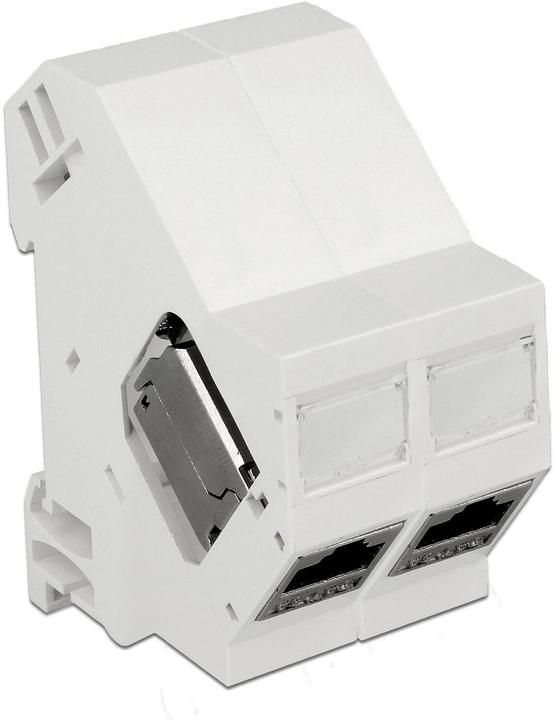 Image du produit Delock Support Keystone Boîtier 180