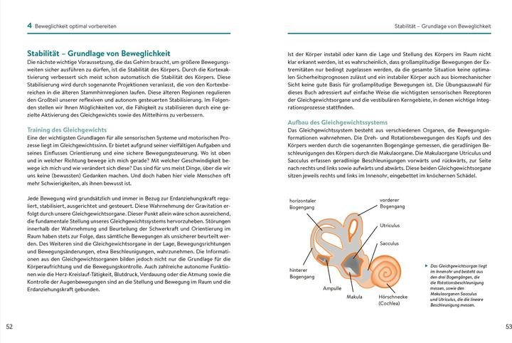 Produktbild Beweglichkeit beginnt im Gehirn (Deutsch, Lars Lienhard, Ulla Lienhard, 2024)